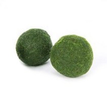 국산 마리모 2cm (대), 2개