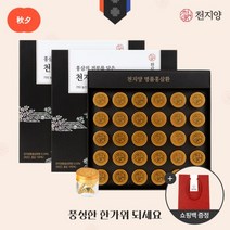 [천지양] 명품홍삼환(30환) 2박스, 단품