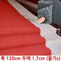 주상복합 빌딩 계단 통로 고급 레드 코일 롤매트 돌기x 시골집