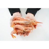 홍새우 붉은새우 2kg 40마리