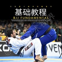 주짓수도복 브라질 주짓수 기본 비디오 교육 bjj 튜토리얼 레슬링 유도 mma 비디오 dvd GI 없이 GI 중국어