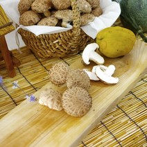 전남구례 지리산 생 표고버섯 알뜰표고 못난이 프리미엄 1kg 화엄골 표고버섯, 알뜰 생표고버섯 1kg