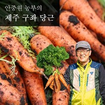 [참다올] 제주구좌 흙당근 주스용 10kg, 상세 설명 참조