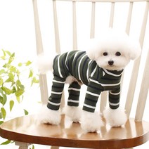 펫디자인 더블ST 올인원, 그린