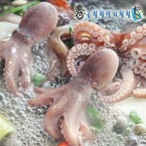 굴철철 바다장어 통영꼼장어 12시이전결재 당일발송, 1개, 활쭈꾸미1kg(7~13미 빙장포장)