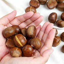 [KT알파쇼핑]월드_생율 1kg x 3