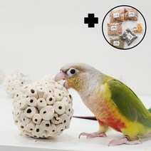 솔라볼 앵무새 장난감 입질 용품 스트레스 해소 6cm, 3개