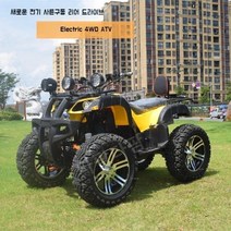 만능 다재다능 농업용 슈퍼파워 전기 4륜 ATV 4륜 구동 ATV 산 오프로드 전 지형 2200W 새 오토바이의, 사륜오토바이