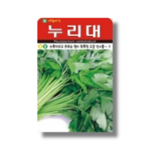 누리대 종자 씨앗 20립 누룩치