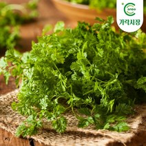 온도씨 [온도씨]가락시장 처빌 100g, 단일옵션