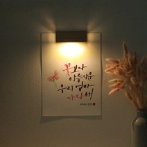 바보사랑 (주문제작)수험생 선물 수능 응원 메세지 벽등 .1AM, A4_캘리그라피／K.별꽃