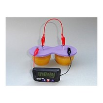 소금물 과일즙 전지만들기(태극컵)