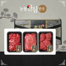 농협안심한우 [농협안심한우] 1등급 실속 선물세트 5호 0.9kg(불고기300 국거리300 장조림300), 단품없음