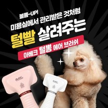 아침애 아베크 털뽕 에어 브러쉬, 단품없음