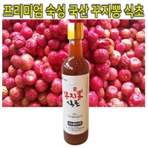 국산 숙성 천연 발효 꾸지뽕 열매 청 진액 액기스 비니거 식초 선물 세트 375ml 1병