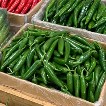 원동FS 국내산 모닝고추(특) 1kg, 1봉