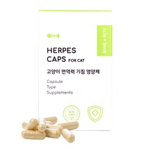 본아페티 본아페티 고양이 허피스캡스 기관지 호흡기 면역력 영양제 아기 반려묘 기침 구내염 60정, 본아페티 고양이 허피스캡스 면역력영양제 60정