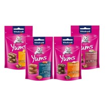 비타크래프트 캣얌 고양이간식 40g9봉(1box) 4종모음, 연어40g(1box)