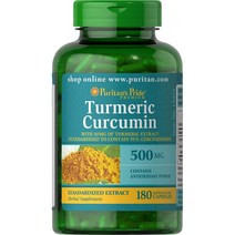 퓨리탄스프라이드 강황 커큐민 500mg 180캡슐