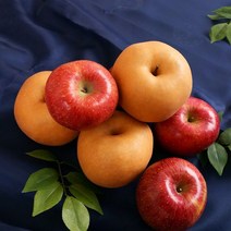 아름아리 아름아리 거창 사과 4kg+전주배 5kg, 단일옵션