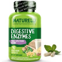 NATURELO 네츄렐로 Digestive Enzymes 다이제스티브 엔자임 15가지 소화효소 90정 베지캡슐 아밀라아제 글루코아밀라아제 셀루라아제 등, 1개, 기본