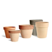 마이플랜트 바소 디그리아 3종 ( 스탠다드 팔라디오 알토 ), 모카색