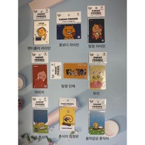 카카오프렌즈 춘식이 라이언 무지 어피치 티머니 교통카드, 독서 춘식이