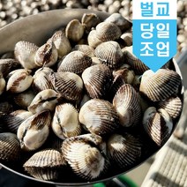 당일조업 벌교 꼬막 새꼬막 1kg 어민살리기 프로젝트 산지직송 소 중 대, 새꼬막(대)_1kg_75미~85미, 1개