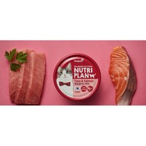 뉴트리플랜 흰살참치와 닭가슴살 고양이 주식캔, 참치+연어, 160g, 72개