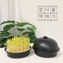 감성편의점 집에서 콩나물 키우기 재배기 기르기 세트 키트 어린이집 유치원 초등학교 가정용, 1) 소형키트(체험콩+설명서)
