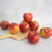 더조은푸드 [더조은] 아리수 사과 가정용 3kg 17-18과, 1