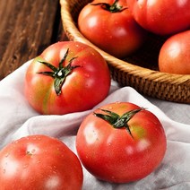 찰토마토 토마토효능 국산 3kg 5kg 쥬스용토마토, 쥬스용 완숙 찰토마토 3kg