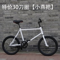 MTB 입문용 산악용 자전거 20 인치 고정 기어 리버스 브레이크 리버스 라이딩 더블 디스크 브레이크 미니 레트로 컬러 남성과 여성, 이십