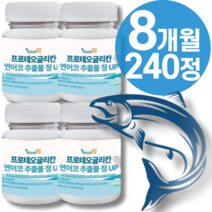 식약청 프로테오글리칸 연어코연골 추출물 2x 분말 비변성 2형 캡슐 관절 콘드로이친 글루타치온 글루코사미노글리칸 콜라겐 울트라 정 msm 알약외 정품 식약청인증 + 종근당 사은품, 4통_8개월, 4개