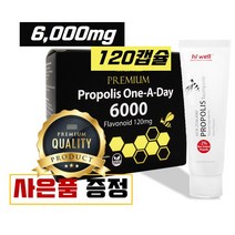 뉴질랜드 하이웰 초고함량 프로폴리스 원어데이 6000mg 120캡슐