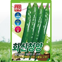 화신 청양고추 씨앗 청양고추 씨 종자 30립, 1개