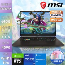 MSI 노트북 VECTOR GP78 HX 13VI WIN11PRO 업무용 가성비 노트북 학생용 노트북 고성능 게이밍 노트북, WIN11 Pro, 64GB, 3TB, 코어i9, 블랙