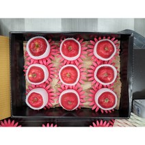 [고품격/추석선물세트] 추석 사과 세트 9수 12수 15수 선택옵션 [백화점납품 사과]