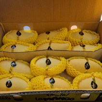 아크션 태국산망고 프리미엄 골드망고 열대과일 Mango 2kg 2.5kg 5kg, 2kg(4~8과)