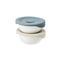 락앤락 바로한끼 도자기 밥용기 250ml 2개세트 (SLB301S2), 선택완료