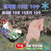 염지 닭 10호 10수 15조각 (주)하림 한강식품