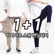 [당일출고] 2장묶음 [1+1] 사계절 찰떡 스판 빅사이즈 밴딩팬츠 (SCC5283PT)