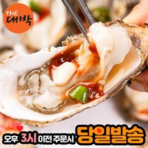 최상급 통영 하프셀 제철 생굴 반각굴, 1box, 하프셀 3단 (90미 내외)