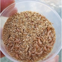 빙어낚시 올킬세트 낚시대+집어제+구덕이+빙어바늘 세트 상품으로 간편하게 어린이용 어른용 일체, 빙어구덕이