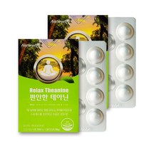 네추럴라이즈 편안한 테아닌 30정 X 2개