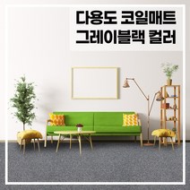라임 코일 현관 매트 두께 20mm, 그레이+블랙 160x120(cm), 1개