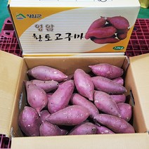 고구마 영암품명 황종복 연지 꿀고구마 35 10kg 품질엄선, 황종복연지 꿀고구마10kg(중품/간식), 1개