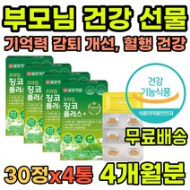 부모님 선물 기억력 감퇴 혈행 건강 개선 징코 영양제 50대 60대 중년 여성 남성 학습력 인지력 항산화 면역 기능 뇌건강 두뇌 뇌기능 식약처인증 비타민B 셀레늄 아연 판토텐산