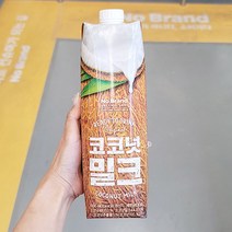 코코넛밀크 1L x 3개, 아이스박스포장