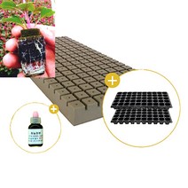 삽목용 오아시스162구+50구트레이 2장+발근력20ml+이름표사은품, 2셋트